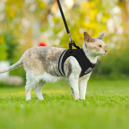 Arnés transpirable para perros y gatos con correa a prueba de escapes, ajustable y reflectante. Tallas de la XS a la XL