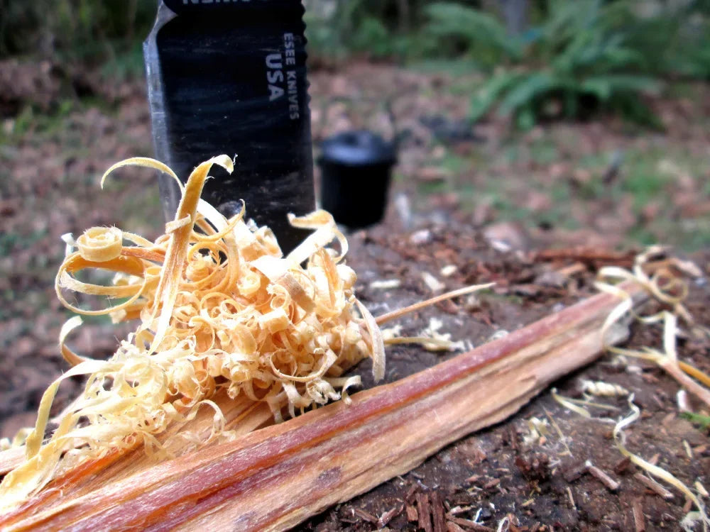 Tiras de pino natural para encender fuego en acampadas y emergencias.