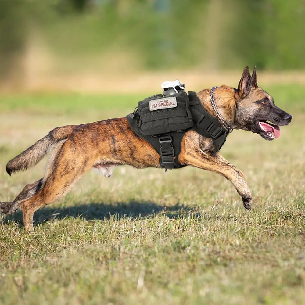 Conjunto de arnes tactico militar con correa para perros grandes. Disponible en varios tamaños,  y en dos variantes.